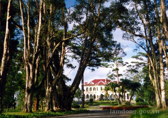 Dalat Dinh1