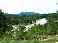Lamdong thunglung tinhyeu